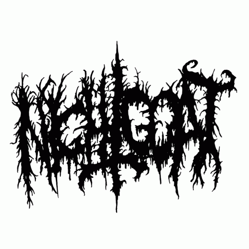 Night Goat : Anatolian Black Goat Night Goat : Anatolian Black Goat